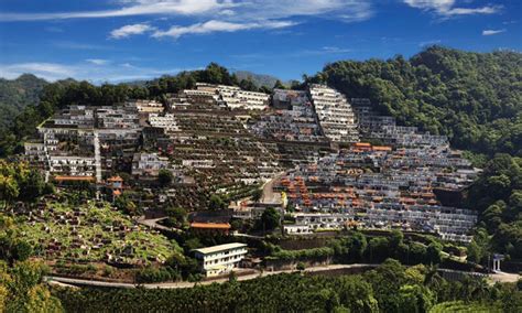 三峽龍泉墓園|三峽龍泉墓園